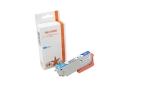 Epson T2432 XL Alternativ Seestern Tinte cyan  12,4ml